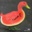 Watermelon Duck