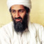 Osama Bin Queefin