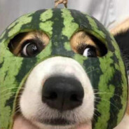 难捱