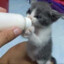angry milk