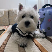 推石头的西西弗斯