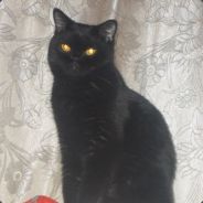 АСhiLLes avatar