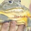 Jaba