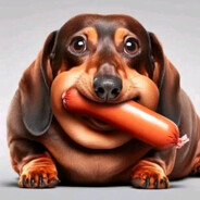 лучший фидер года