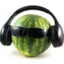 DJ Watermelon