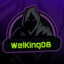 WelKing08