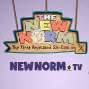 the new norm show
