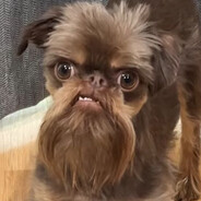 Jebarkus