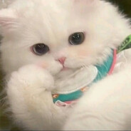 苏格拉底相悖论