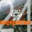 Gogogonrace24