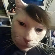 Fr3ackkAsta- Steam avatar