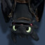 TheDragonReborn96