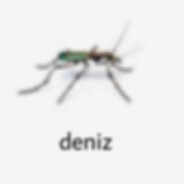 diff - steam id 76561198832204158