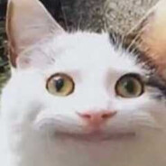 EdDyy___^ ︻デ=一
