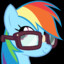 rainbow dash likes girls