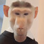 Ernst the monkey