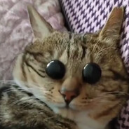 老酱头到此一游