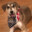 Its Toddly