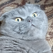 MR.k