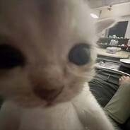 Bhoo