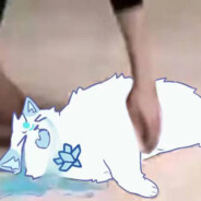 九章三节怎么还不更新