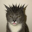WeT_BaGeT