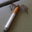 Smoking spider