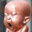 HABEPHO
