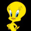 PIOLIN