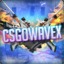 CSGOWaveX