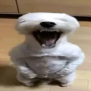 jonii