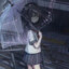 小胖橘子