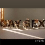 Собака злая