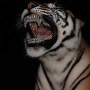 𝕥𝕒𝕝𝕖𝕟𝕥 ♱