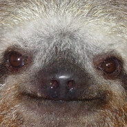 infamous_sloth