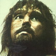 徐徐徐夫人的猫