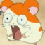 H is Hamtaro