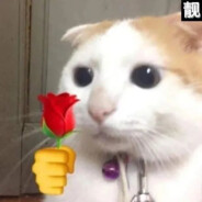 人间富贵花