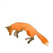 Foxer
