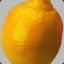 The Sour Lemon