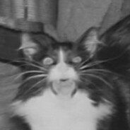Dorsis