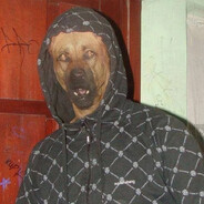 dog