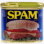 TheSpam