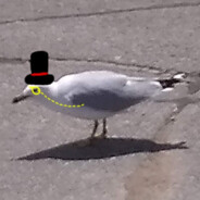 TheClassySeaGull avatar