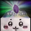 爆Seed哥