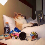 贫僧和道士抢尼姑