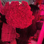 ᴸᵒᵛᵉ♥𝕯𝖊𝖋