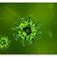 Karo-Na-Virus - steam id 76561199021057761