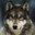 pemi-