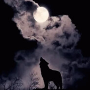 TheWolf